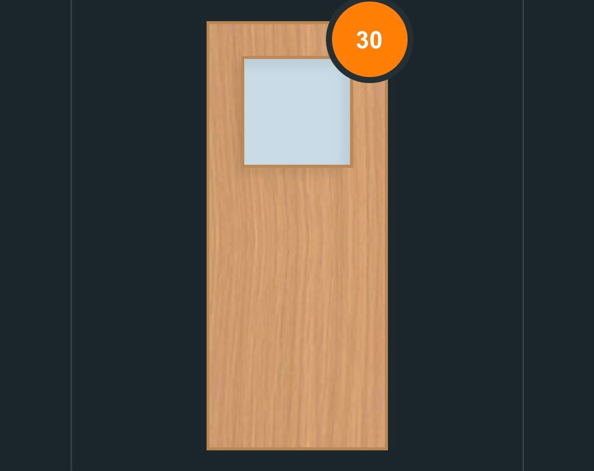 FD30 glazed fire door design — two stacked vertical panes
