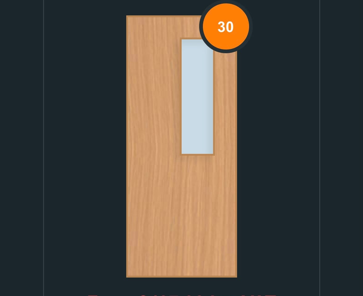 FD30 glazed fire door design — full-length vertical pane
