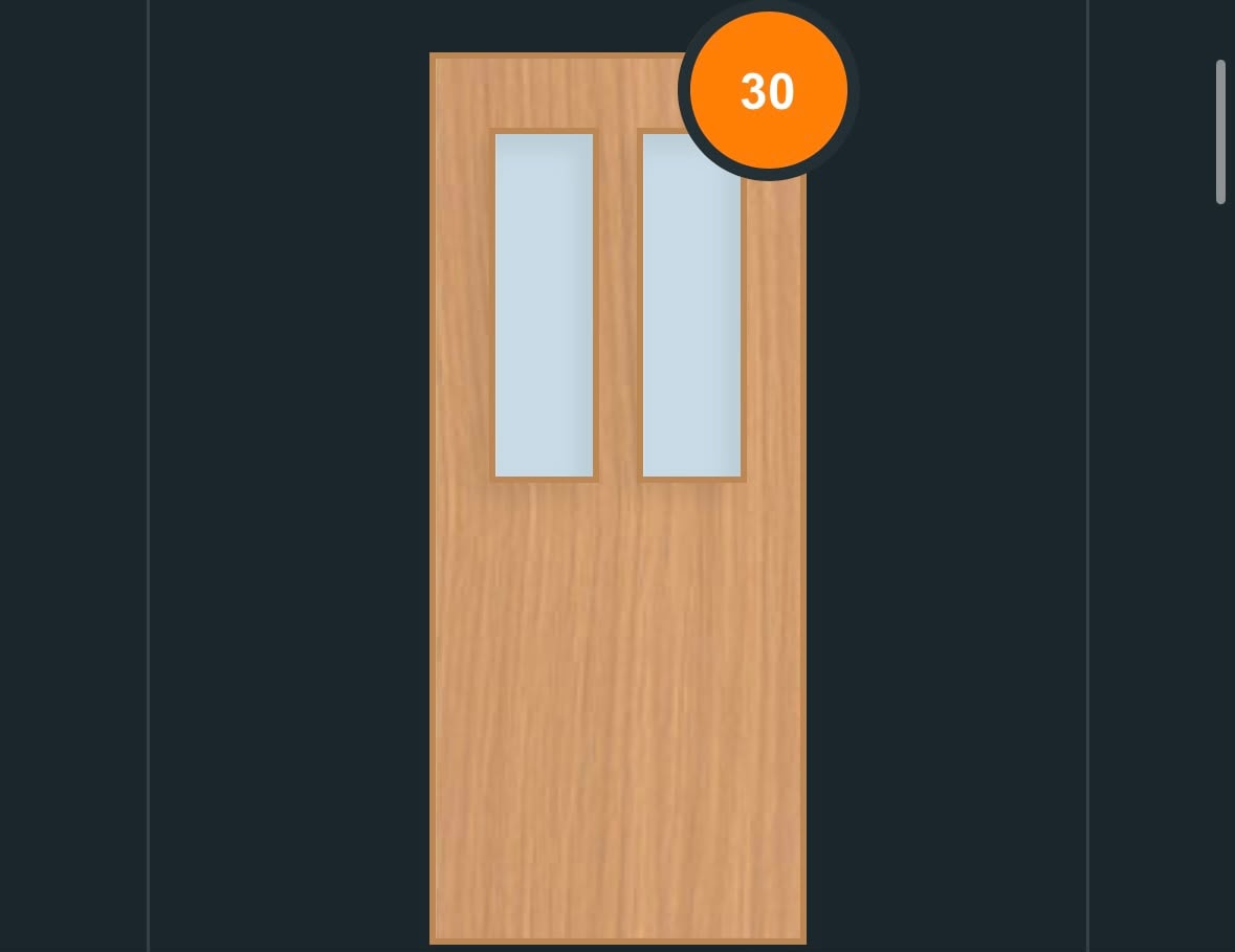 FD30 glazed fire door design — tall narrow pane